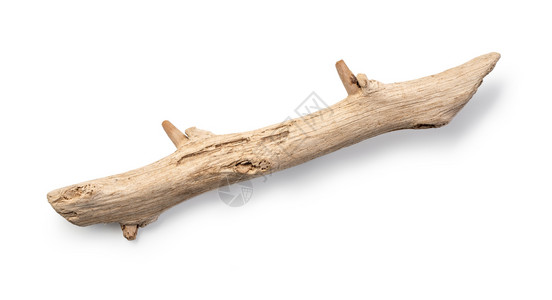 漂浮木白色背景的老木头孤立的一块漂浮木棒顶端视图接近图片