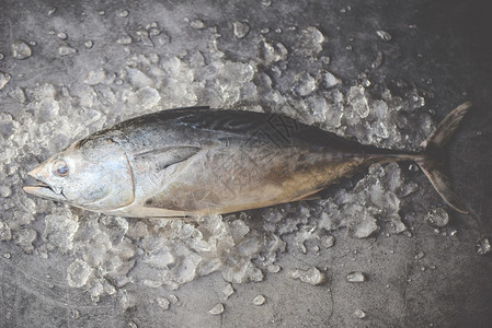 市场上的冰新鲜鱼黑底顶视长尾金鱼东部小图片
