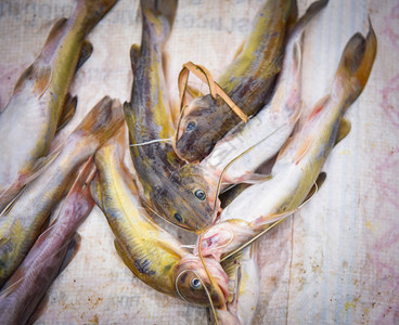 供当地市场销售的淡水鱼河背景餐厅高清图片素材