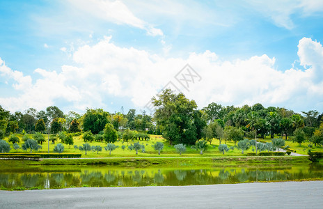 公园夏季风景湖绿池塘棕榈树花园和蓝天空背景背景图片