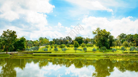 公园夏季风景湖绿池塘棕榈树花园和蓝天空背景背景图片