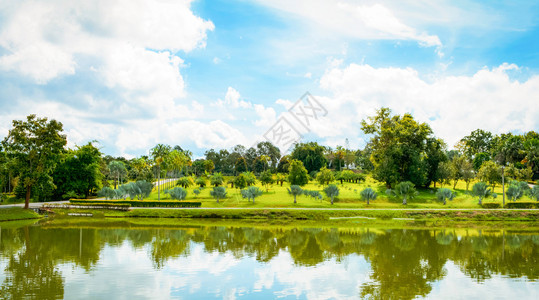 公园夏季风景湖绿池塘棕榈树花园和蓝天空背景图片