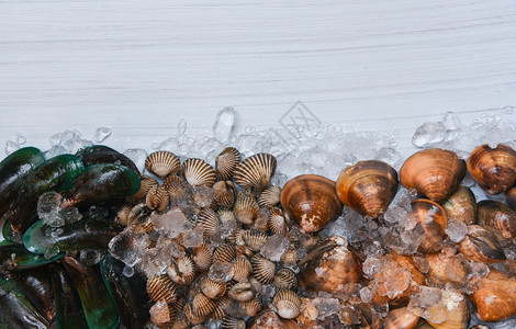 冰底贝壳鱼新鲜生血绿贝类和海产食品餐厅用冰立方糖加的海豚壳图片
