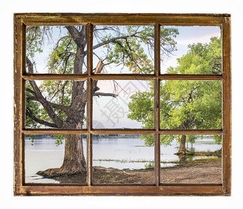 湖边海滩上的棉花树从古老的小木屋窗户看到图片