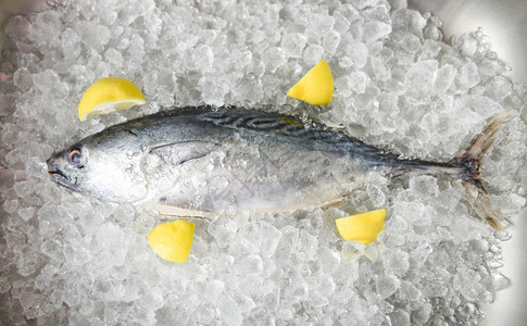 市场冰上加柠檬的新鲜鱼海顶视长尾金鱼东部小图片