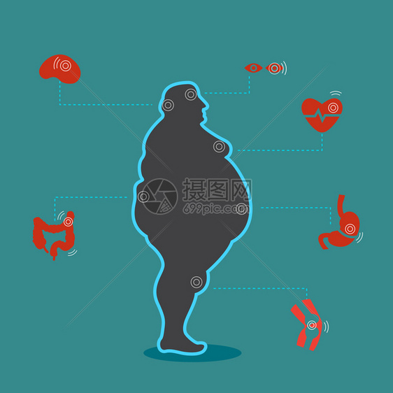 肥胖对健康和人体内脏器官的影响图片
