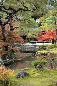 日本京都秋天时银井二殿的美丽落颜色背景图片