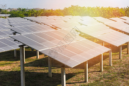 太阳能农场电池板与绿树和阳光照明的太能电池板视图反映太阳能电池或可再生源概念图片