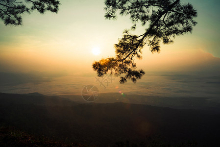 日落或出美丽的温暖天空在顶端山悬崖和树枝林雾图片