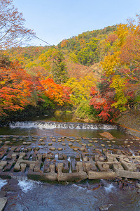 在京都Rurikoin寺庙瀑布附近的多彩秋天季节红树叶或落日本有蓝天空的树木自然景观背图片