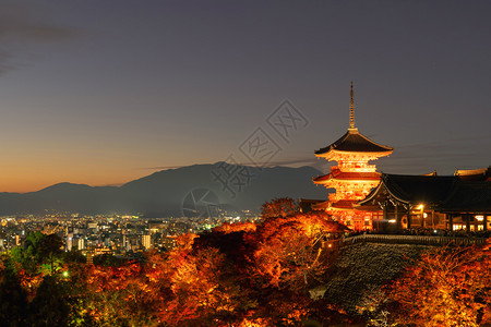 多彩建筑秋季有红木叶或落的有色树京都日本自然和建筑景观背背景