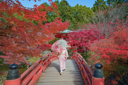 一名身着日本传统和服的亚裔妇女站在戴戈吉塔寺秋季有红色的树叶或落图片