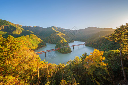 秋天的山横渡长谷川铁路的蒸汽列车空中观察以在森林山丘和秋季蓝河的红落叶进行站岗日本静冈的红桥背景