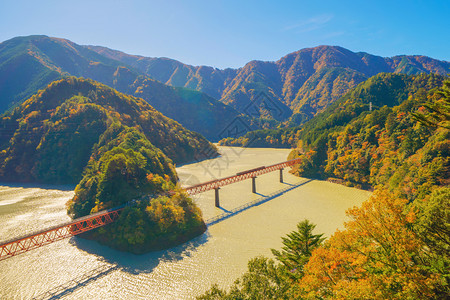 横渡长谷川铁路的蒸汽列车空中观察以在森林山丘和秋季蓝河的红落叶进行站岗日本静冈的红桥图片