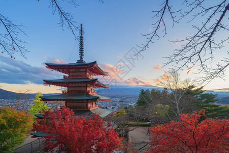 红色刺绣秋季叶或树带有红或落的ChureitoPagoda寺有色树福吉田日本自然景观背背景