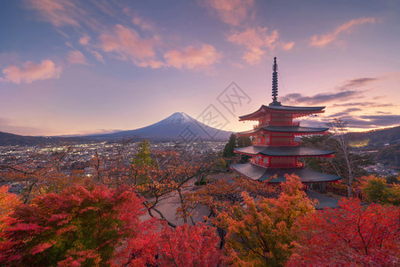 扎叶巴寺秋季叶或树带有红或落的ChureitoPagoda寺有色树福吉田日本自然景观背背景