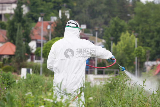 虫害防治工人喷洒杀虫剂图片