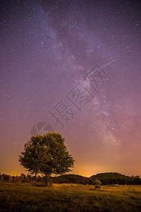 明亮的紫色星空和一棵孤独的树图片