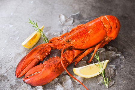 红龙虾晚餐海鲜配有香草料柠檬迷迭餐桌和冰在厅食品健康美煮的龙虾图片