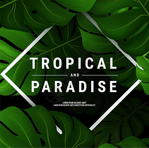 带有深绿色棕榈叶和字母的横幅或传单夏季热带矢量设计图片