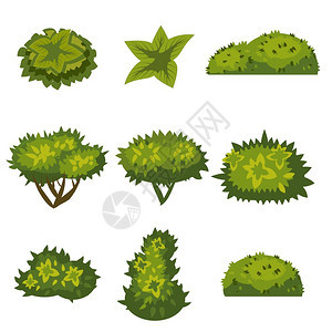 卡通风格绿色植物图片