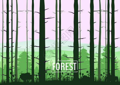 森林树松木自然环境矢量图图片