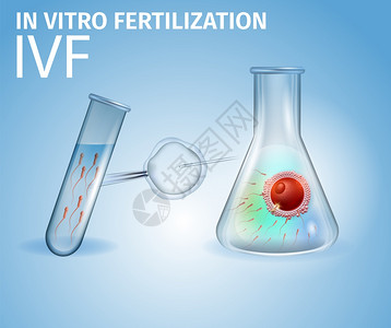 培育受精卵试验矢量设计模板图片
