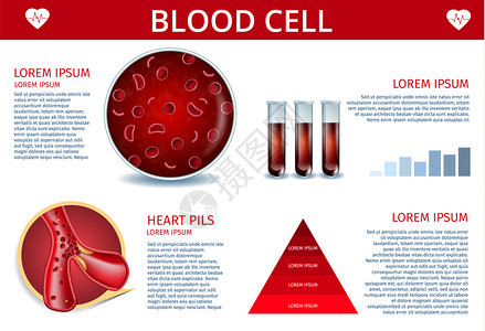 血液细胞医学矢量设计模板图片