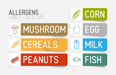 为过活原牛奶鱼蛋谷浆小麦坚果乳甘油玉米蘑菇设定的矢量标签彩色版图片