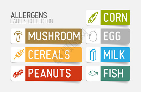 阿甘油为过活原牛奶鱼蛋谷浆小麦坚果乳甘油玉米蘑菇设定的矢量标签彩色版插画