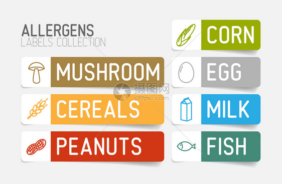 为过活原牛奶鱼蛋谷浆小麦坚果乳甘油玉米蘑菇设定的矢量标签彩色版图片