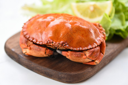 木板上的镜头蟹肉煮蒸汽或柠檬和生菜沙拉蔬煮在一家餐馆新鲜海石蟹的木板上背景