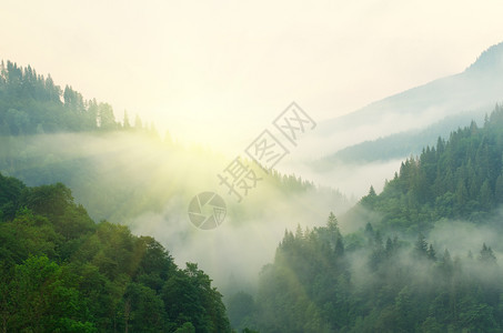 山地空中的月光景观自然的构成图片