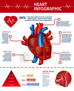 心脏病统计图标图片