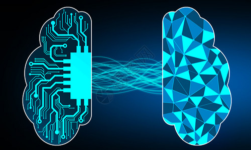 电路大脑人类大脑对网络的3D影响背景
