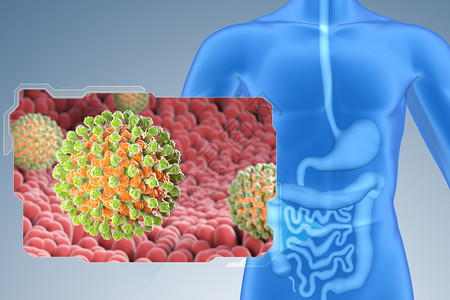 小肠中的罗塔是RNA儿童腹泻病的诱因3D示例小肠中的罗塔背景图片