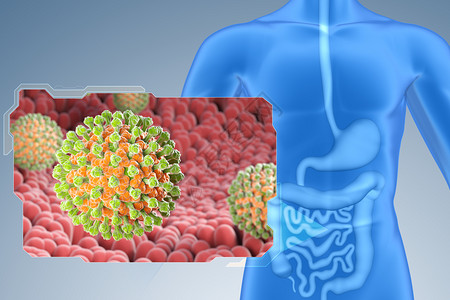 轮状病毒小肠中的罗塔是RNA儿童腹泻病的诱因3D示例小肠中的罗塔背景