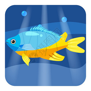 蓝色热带鱼图片