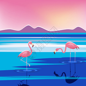 日落时湖中三个粉红火烈鸟矢量插画图片