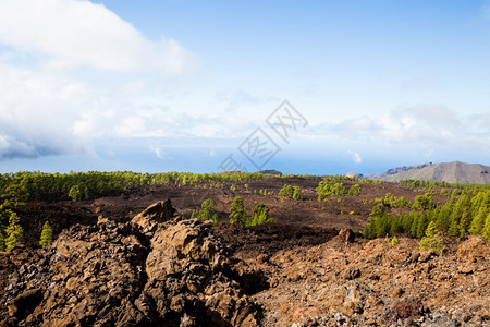 西班牙最高海拔Tenerife的Teide公园图片