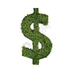 白种生长和态环境概念中孤立的白种绿色爬行树丛和形成美元或货币符号的葡萄树图片