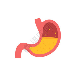 口腔器官图标人体内脏器官符号矢量存图例示背景图片