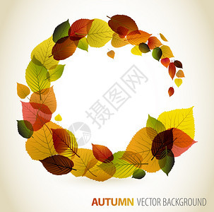 秋季抽象植物背景图片