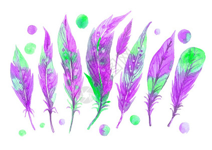 水彩紫色羽毛套装手画插图水彩紫色套装图片