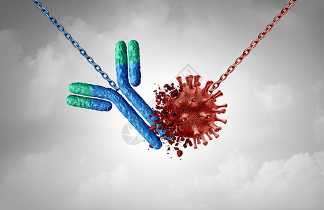 抗体治疗和Immunoglobulin概念是抗体攻击传染细胞和原体3D说明背景图片