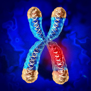 遗传疾病和染色体或DNA损害作为一种科学和生物概念3D制成的受损害基因图片