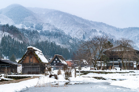 白川子是一个古老的传统村落建有石灰祖库里风格的建筑日本地标和旅游概念图片