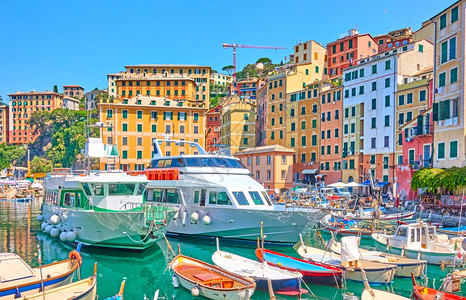 意大利热那亚阳光明媚的夏日Camogli镇港口的船舶和只图片