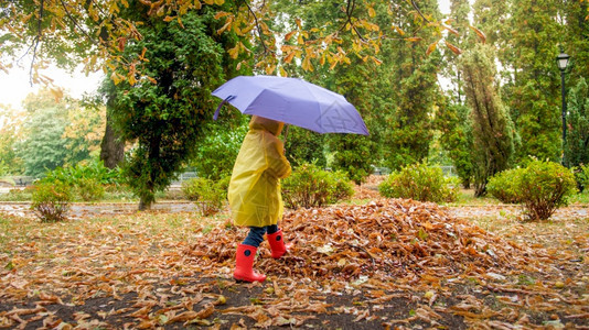 小男孩带雨伞走在公园的后小男孩在公园的雨后图片