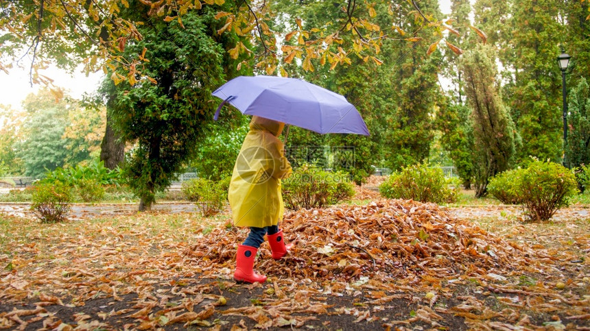 小男孩带雨伞走在公园的后小男孩在公园的雨后图片